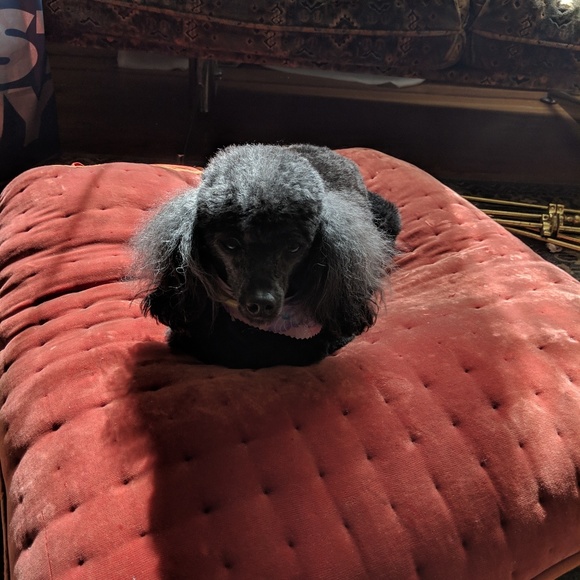 Meet your Posher, Autumn - Picture 3 of 5